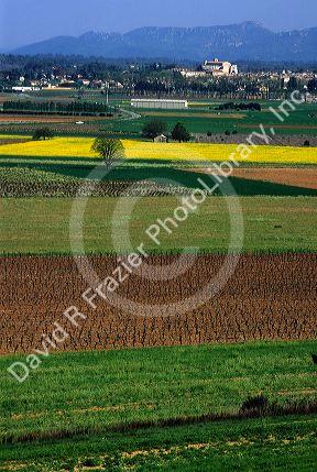 Countryside in La Ste Baume, France Provence.