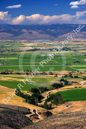 Farms and agriculture at Ellensburg, Washington.
