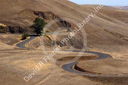 Switchback curves on old highway U.S. 97 along the Columbia Gorge in Washington state.