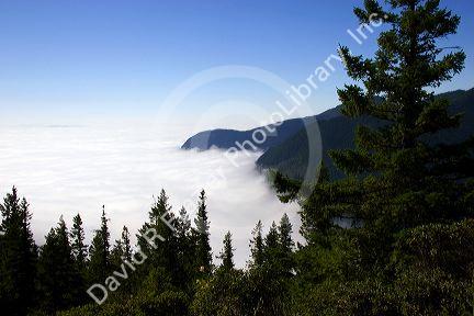Looking down at clouds from Mt. Walker in  Olympic National Forest, Washington.