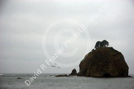 LaPush on the coast of Washington.