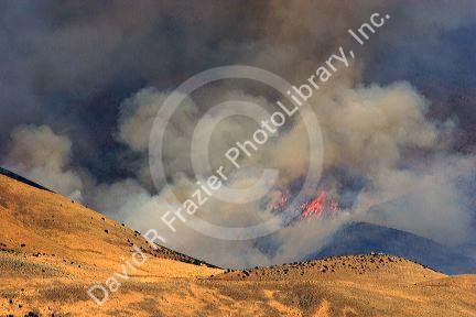 The Homestead Wildfire in the Boise foothills, Idaho.