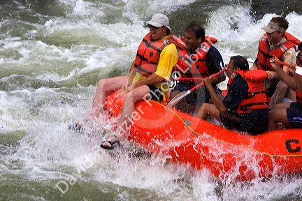 White water rafting on the Payette River, Idaho.