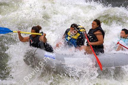 White water rafting on the Payette River, Idaho.
