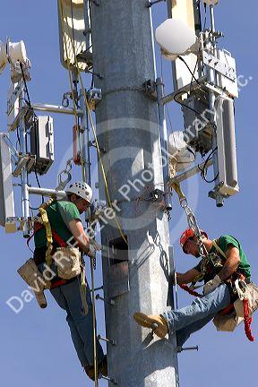 Technicians working on a cell phone tower.  