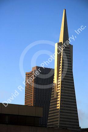 The Transamerica tower in San Francisco, California.