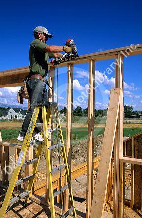 Construction worker assembling a stud wall with a nail gun.