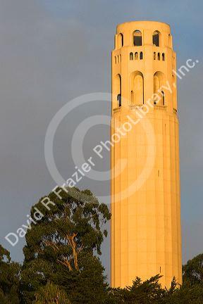 Coit Tower on Telegraph Hill in San Francisco, California.