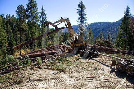Logging operation in the Boise National Forest, Idaho.