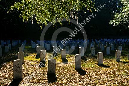 The National Cemetery in Florence, South Carolina.