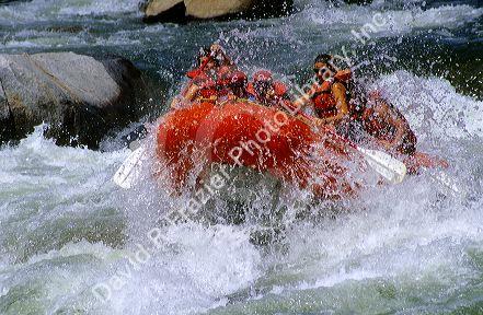 White water rafting on the Payette River in Idaho.