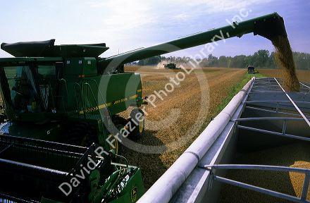 Soybean harvest in central Ohio.