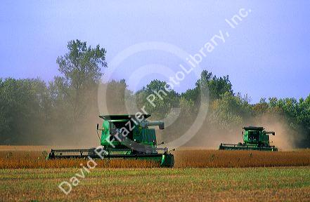 Soybean harvest in Indiana.