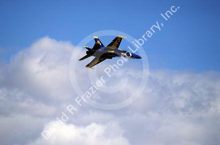 A Blue Angel f-18 supersonic jet.