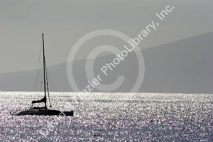 A sailboat on the pacific ocean off the island of Maui, Hawaii.