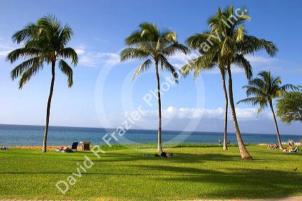 People sunbathe by the pacific ocean on the island of Maui, Hawaii.