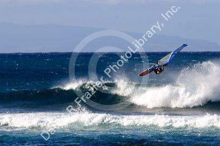 Windsurfing in the pacific ocean off the island of Maui, Hawaii.