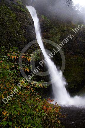 Horsetail Falls, a mountain waterfall in the Columbia Gorge, Oregon.