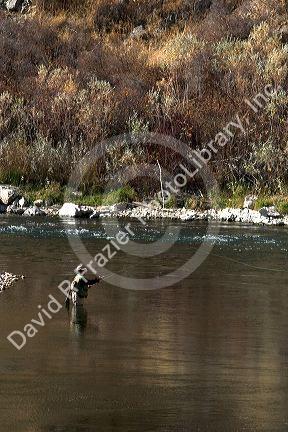 Fly fisherman on the South Fork of the Boise River in Idaho. 