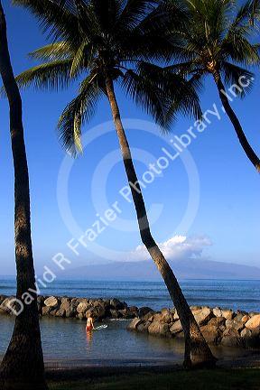 Woman entering the pacific ocean with surfboard on the island of Maui, Hawaii.