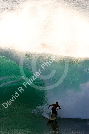 Surfing on waves in the pacific ocean off the island of Maui, Hawaii.