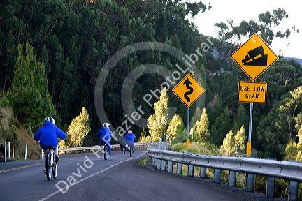 Tourists ride bicycles down Mount Haleakala on the island of Maui, Hawaii.