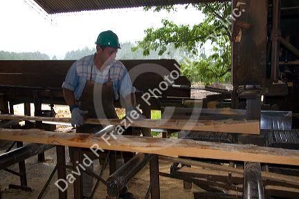 Sawyer cutting logs at a lumber mill in Argentina.