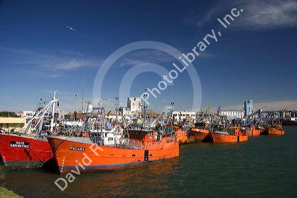 Fishing boats at Puerto Faro, Mar del Plata, Argentina.