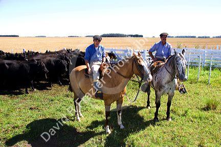 Gaucho cowboys on horseback near Neccochea, Argentina.