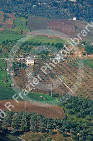 Olive groves near Espejo, Spain.