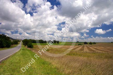 Farmland and clouds near Tamil, Argentina.