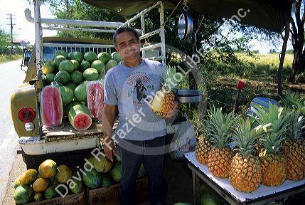 Puerto Rican farmer selling pineapples and melons out of his truck on the side of the road in Puerto Rico.