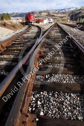 Idaho Northern and Pacific train in Horseshoe Bend, Idaho.