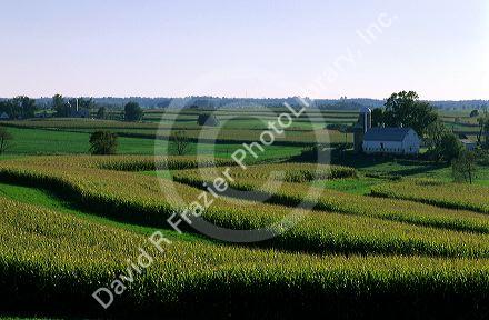 Strip farming in Viroqua, Wisconsin.