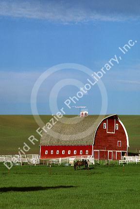 Red barn on a farm in Northern Idaho near Moscow.