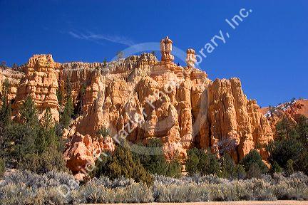 Sandstone rock formation in the Red Canyon of the Dixie National Forest near Bryce Canyon National Park, Utah.