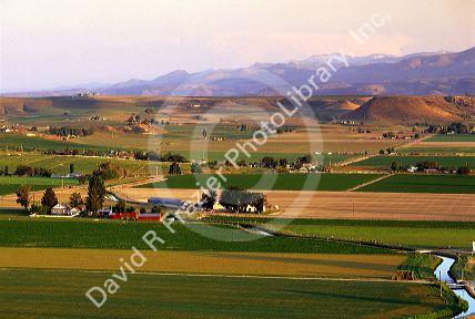 Farmland near Marsing, Idaho with evening sun.