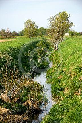 Small stream in Hancock County, Ohio.