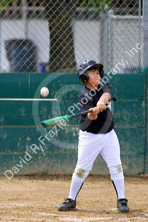 Little League baseball player at bat in a game at Morgan Hill, California.