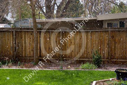 Hail falling from a spring storm in Boise, Idaho.
