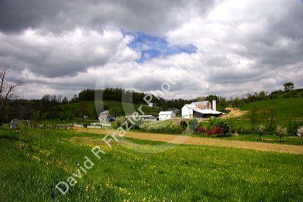 Farm scene near Berlin, Ohio.