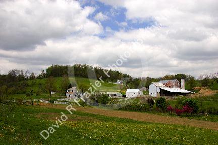 Farm scene near Berlin, Ohio.