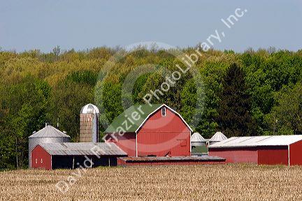 Red barn and buildings on farm near Ada, Michigan.