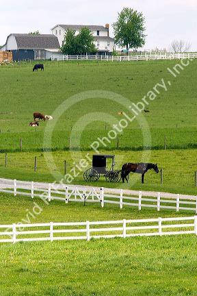 Amish farm with horse and buggy near Berlin, Ohio.