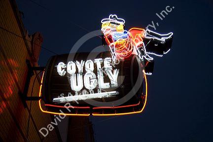 Coyote Ugly Saloon neon sign on Beale Street in Memphis, Tennessee.