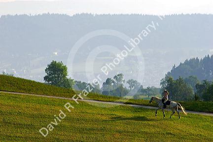 Rider on horseback near Zurich, Switzerland.
