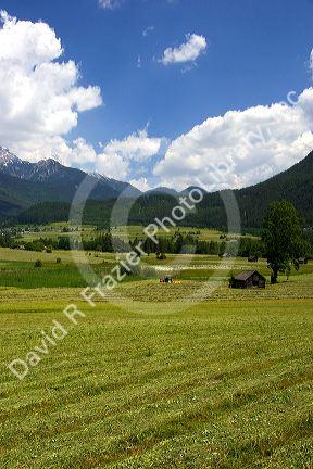 A tractor harvesting a hay field on a farm at Imst, Austria.
