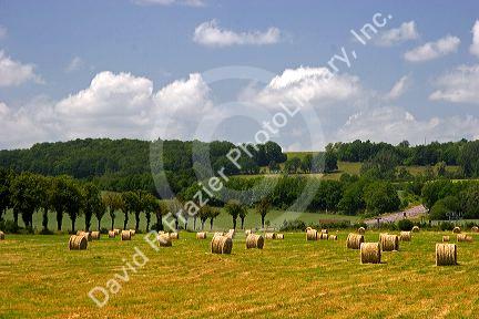French countryside near Morhange, France.