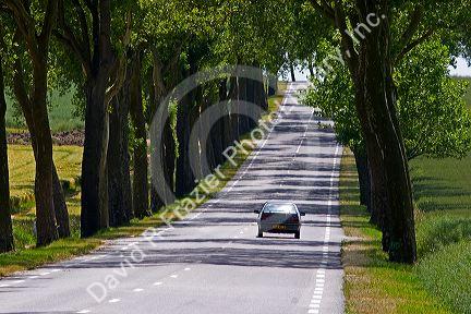 Tree lined highway near Luneville, France.