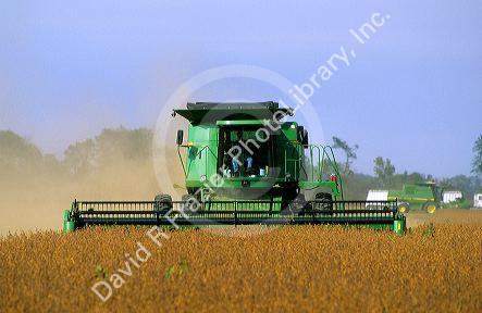 Soybean harvest in central Ohio.